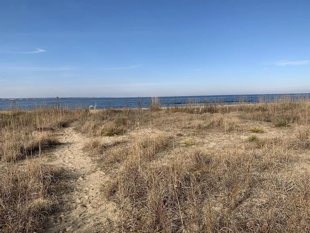 Holiday home Manor And Mutts #2 Cottage Norfolk United States